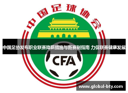 中国足协发布职业联赛降薪措施与新赛制指南 力促联赛健康发展