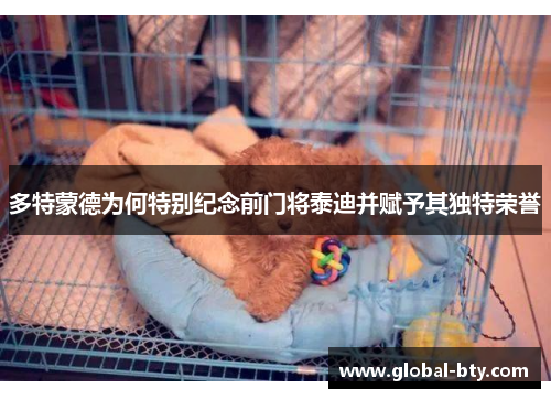 多特蒙德为何特别纪念前门将泰迪并赋予其独特荣誉