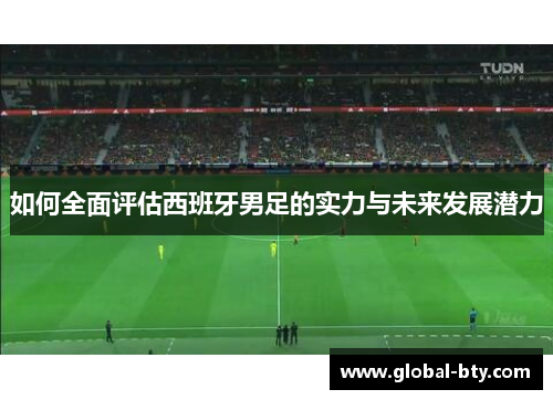 如何全面评估西班牙男足的实力与未来发展潜力