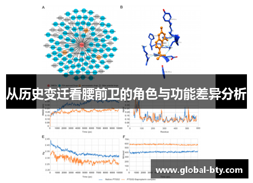 从历史变迁看腰前卫的角色与功能差异分析